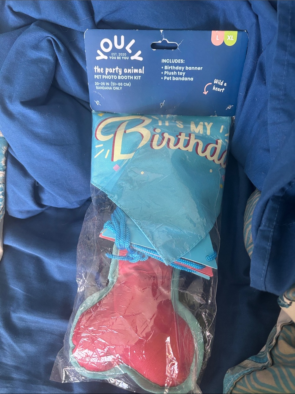 You Be You Blue "It's My Birthday" Pet Bandana & Toy Set